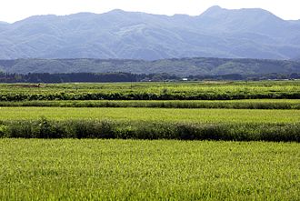 岩手県花巻市