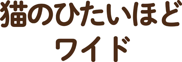 猫のひたいほどワイド